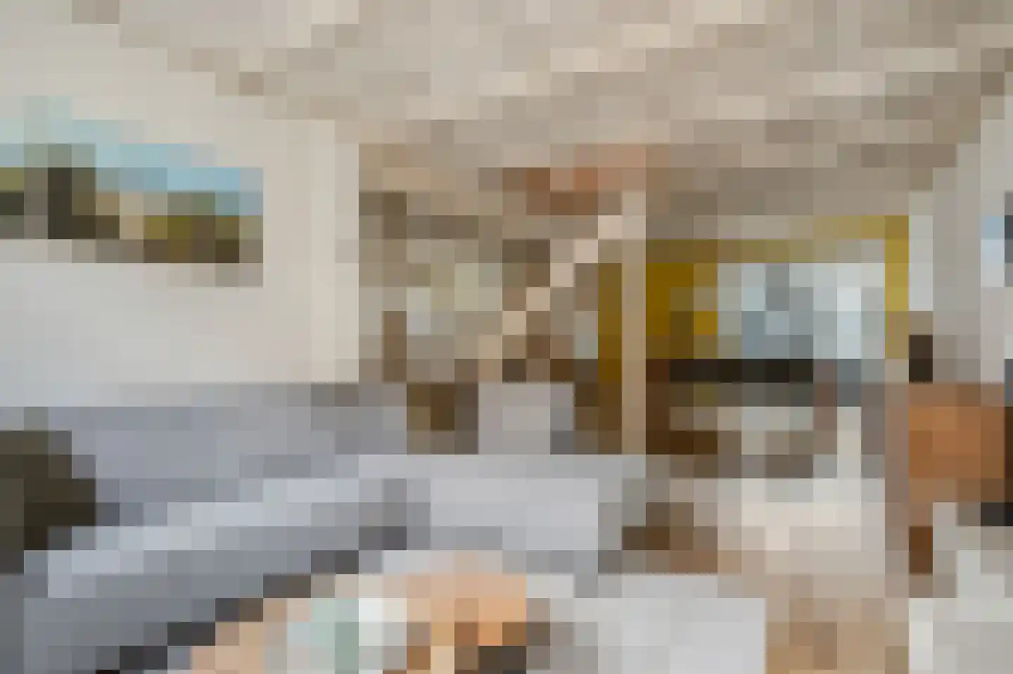 Achterstraat 14 Culemborg thumbnail 10
