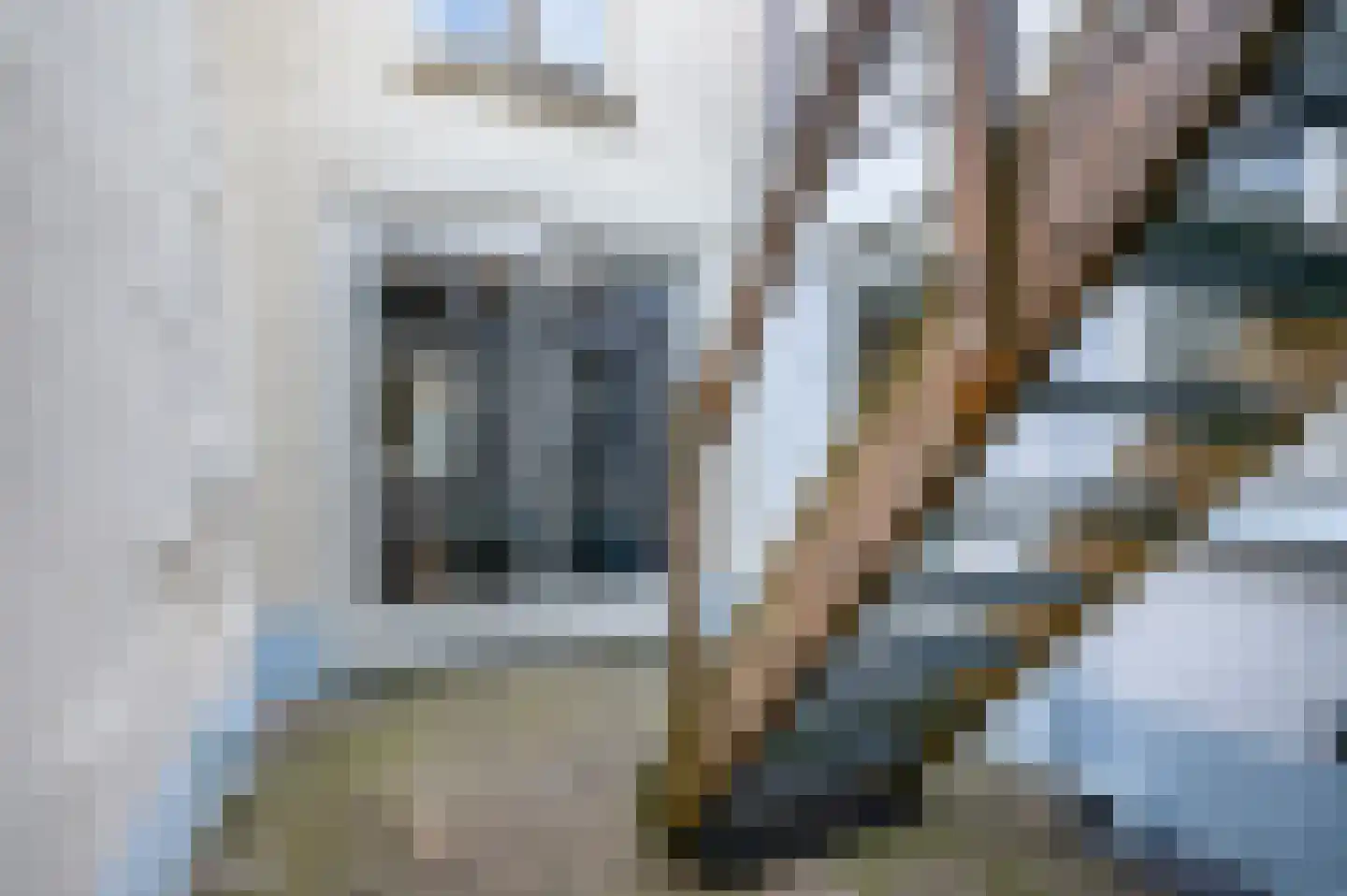 Achterstraat 14 Culemborg thumbnail 22