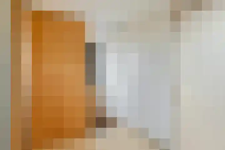 Achterstraat 14 Culemborg thumbnail 32