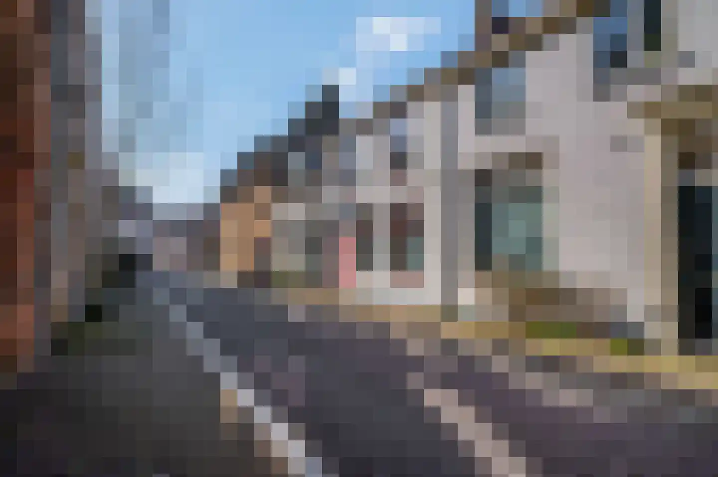 Achterstraat 14 Culemborg thumbnail 38
