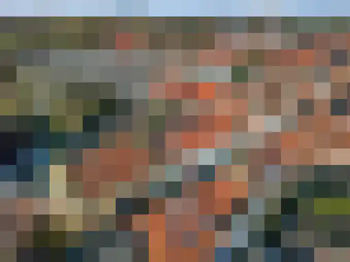 Achterstraat 14 Culemborg thumbnail 44