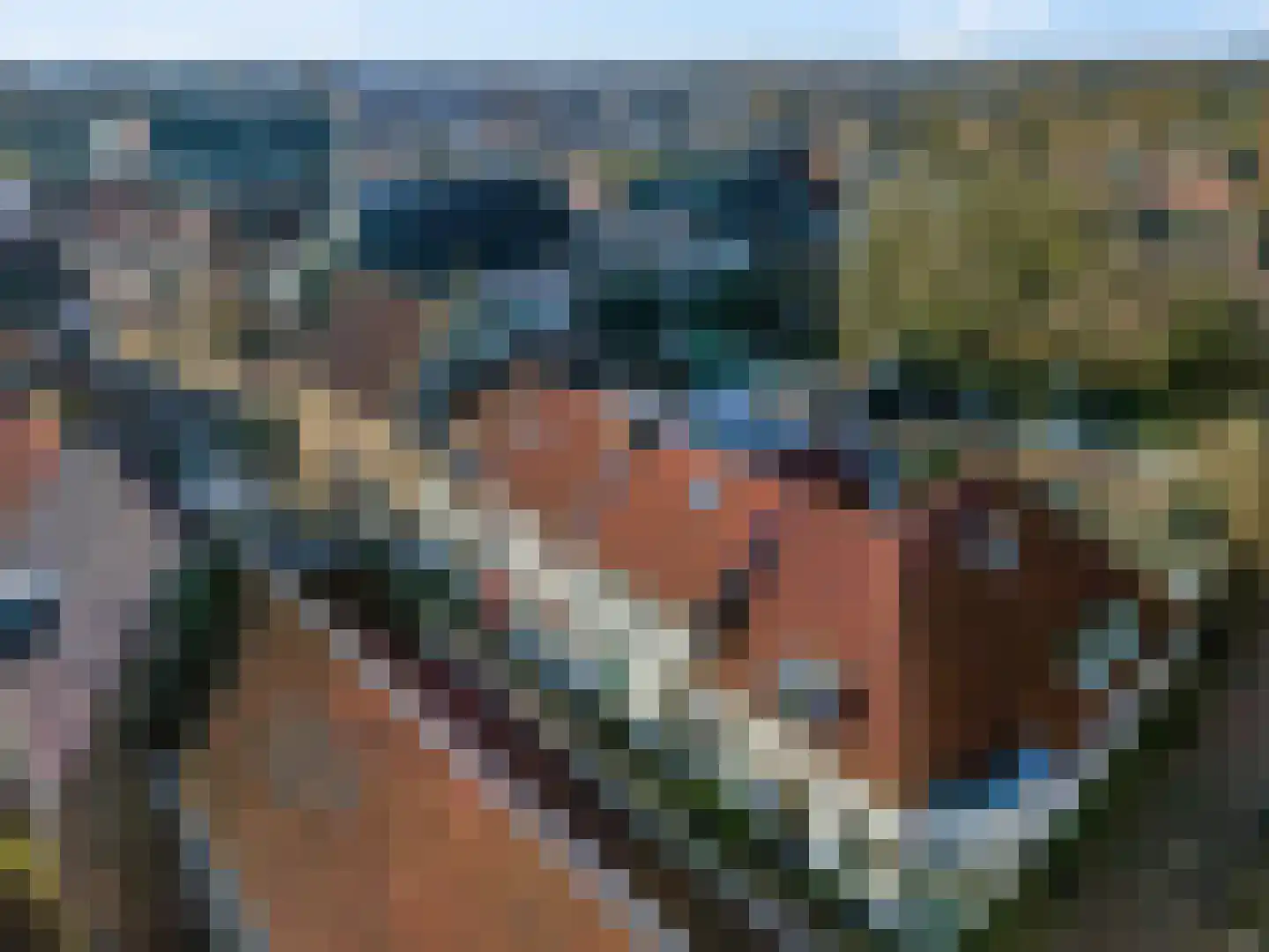 Achterstraat 14 Culemborg thumbnail 6