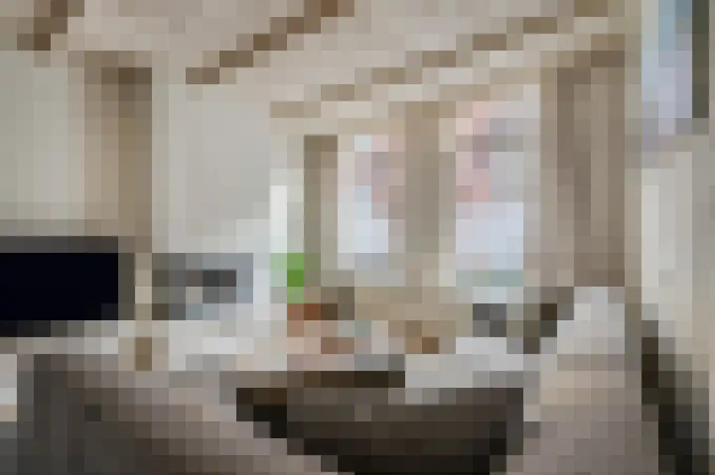 Achterstraat 14 Culemborg thumbnail 9