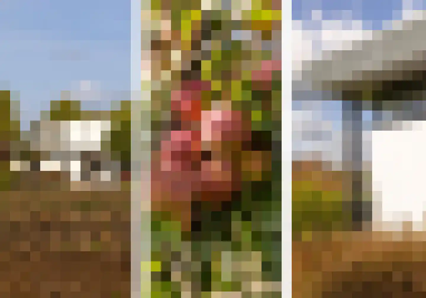 Achterstraat 14 Lienden thumbnail 11
