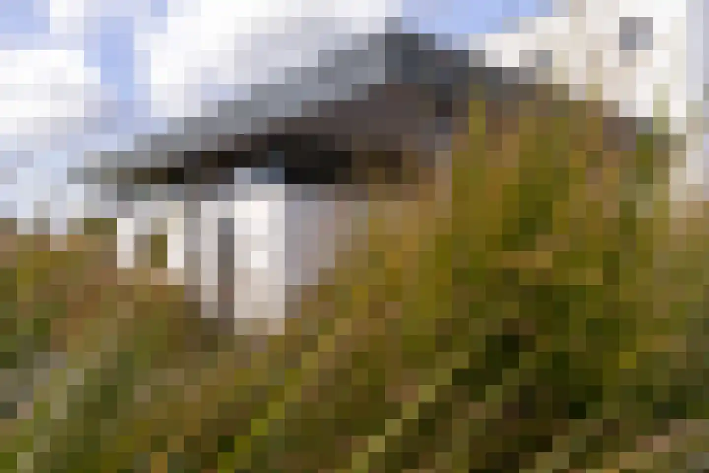 Achterstraat 14 Lienden thumbnail 13