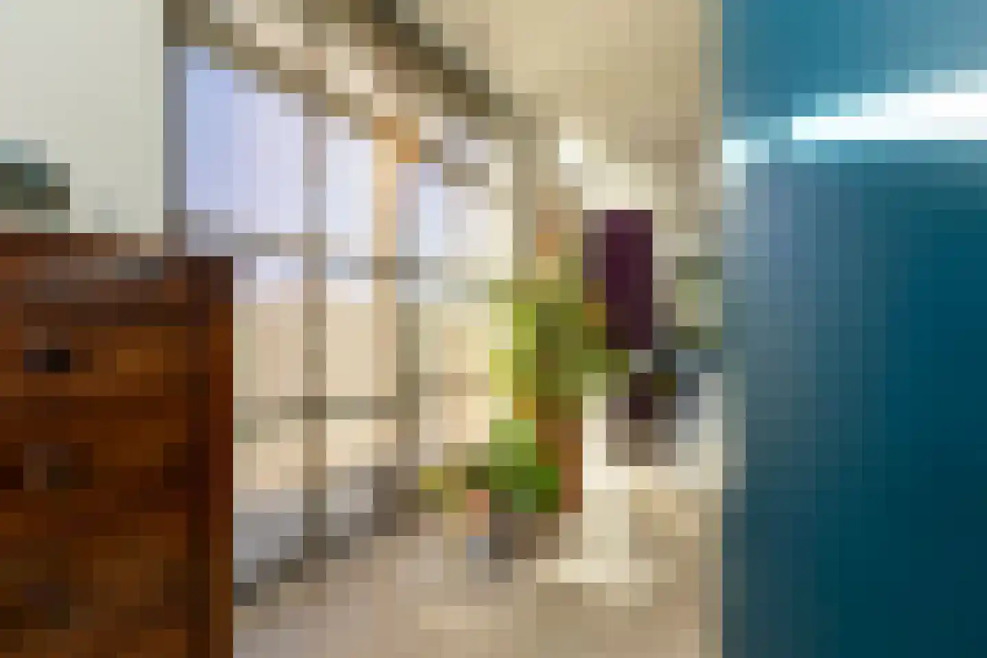 Achterstraat 14 Lienden thumbnail 21
