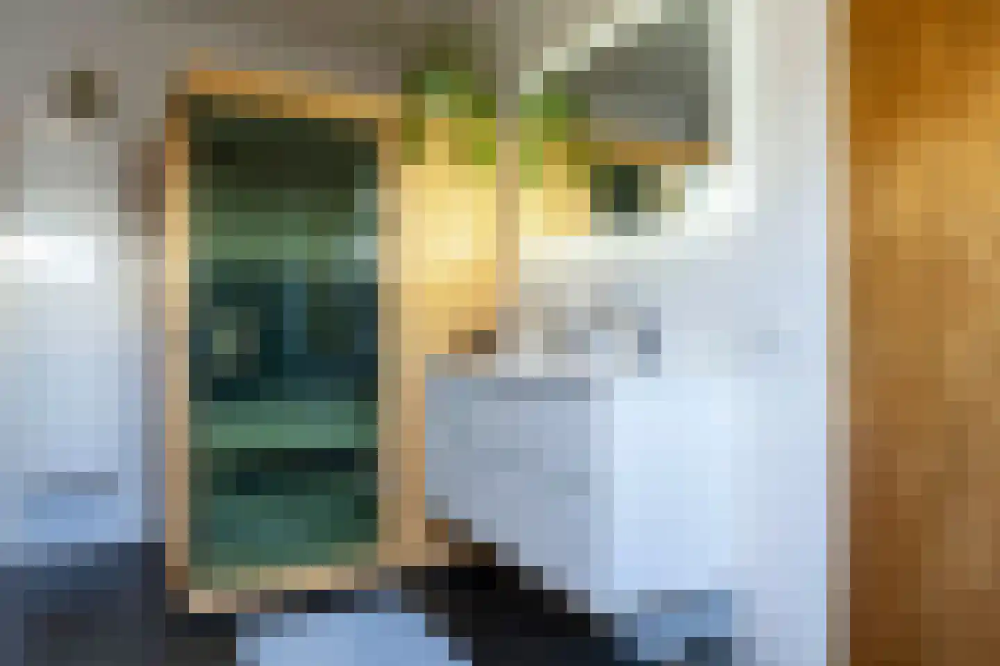 Achterstraat 14 Lienden thumbnail 43