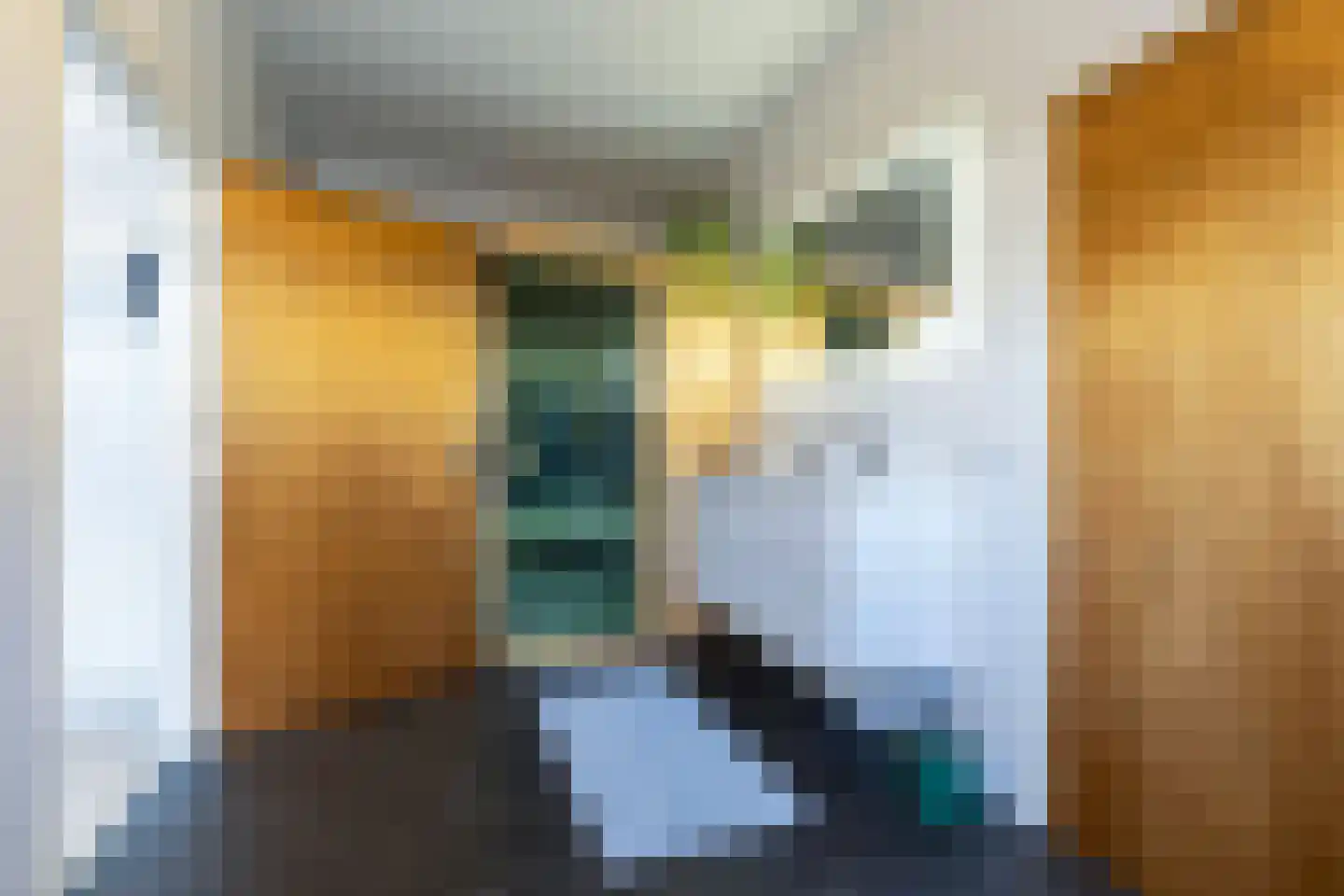 Achterstraat 14 Lienden thumbnail 44