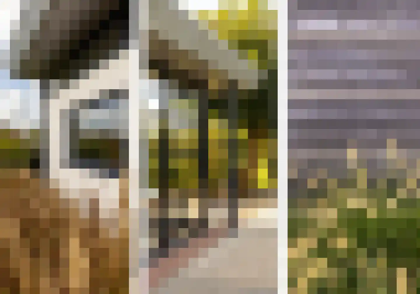 Achterstraat 14 Lienden thumbnail 49