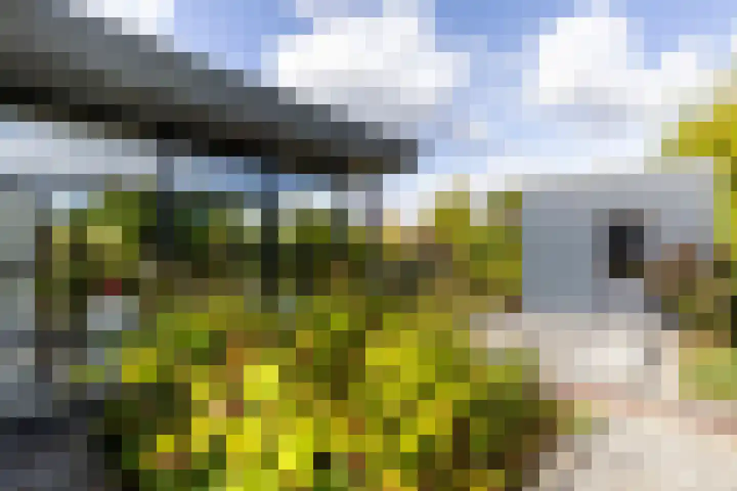 Achterstraat 14 Lienden thumbnail 50