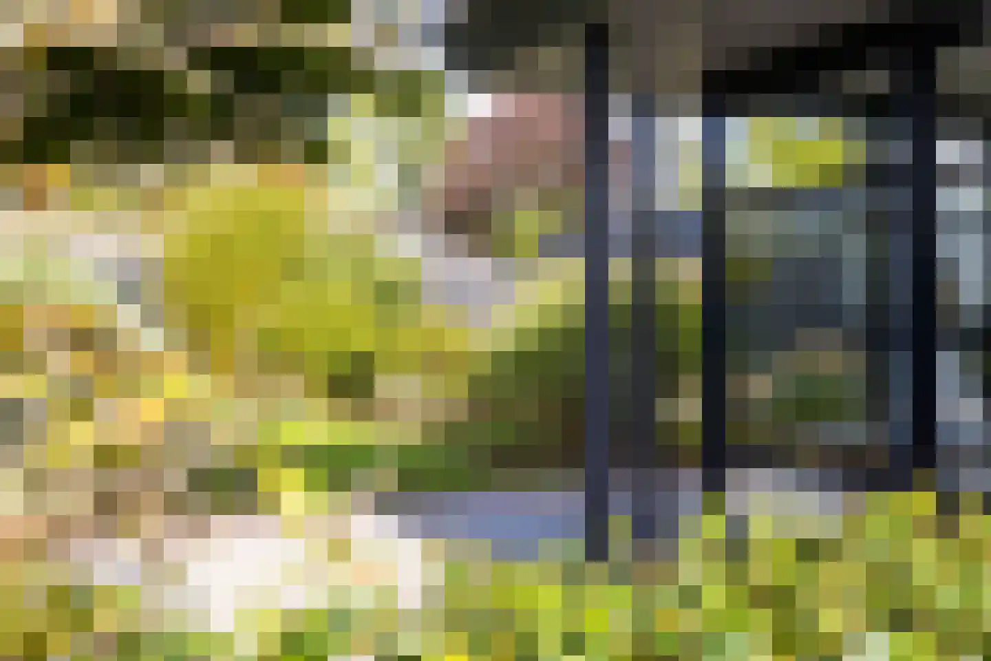 Achterstraat 14 Lienden thumbnail 61