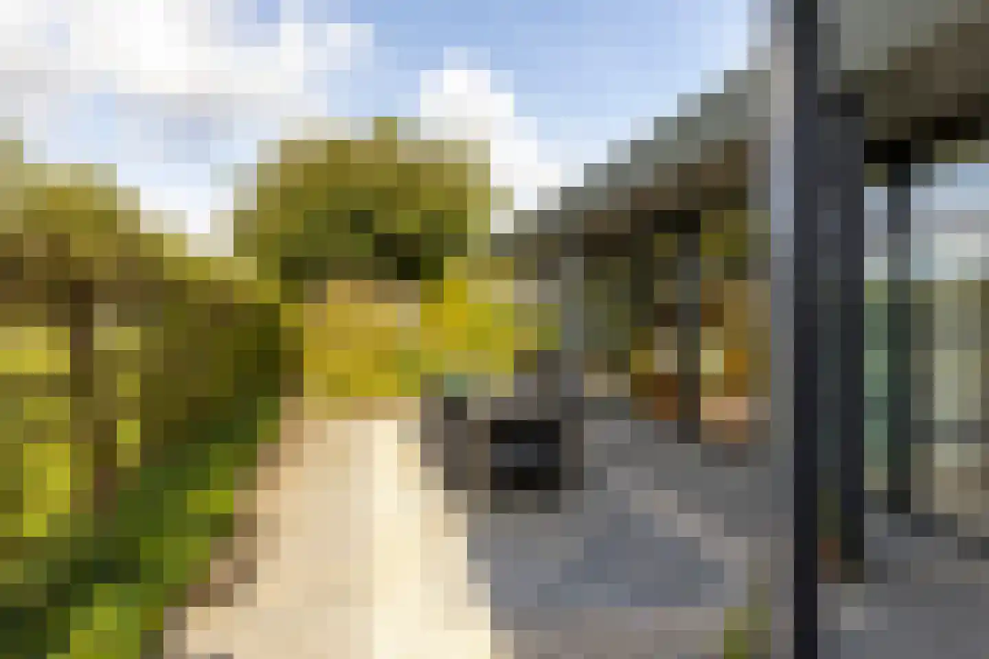 Achterstraat 14 Lienden thumbnail 62