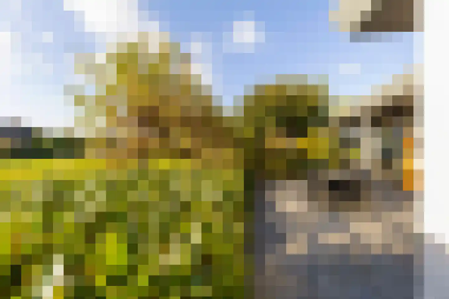 Achterstraat 14 Lienden thumbnail 63