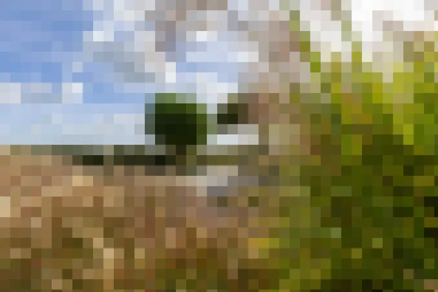 Achterstraat 14 Lienden thumbnail 65