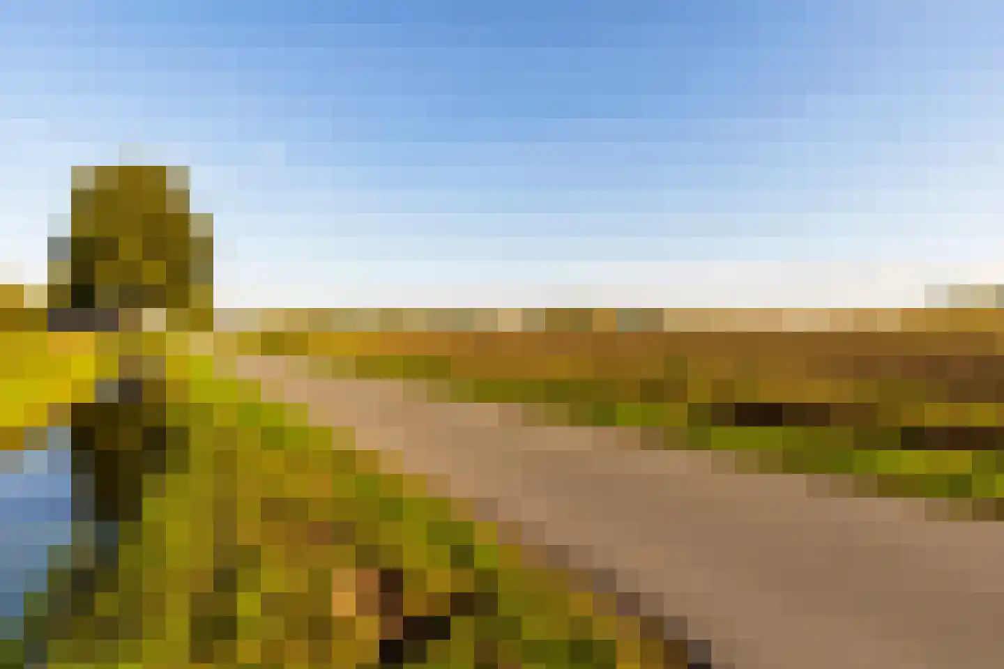 Achterstraat 14 Lienden thumbnail 8