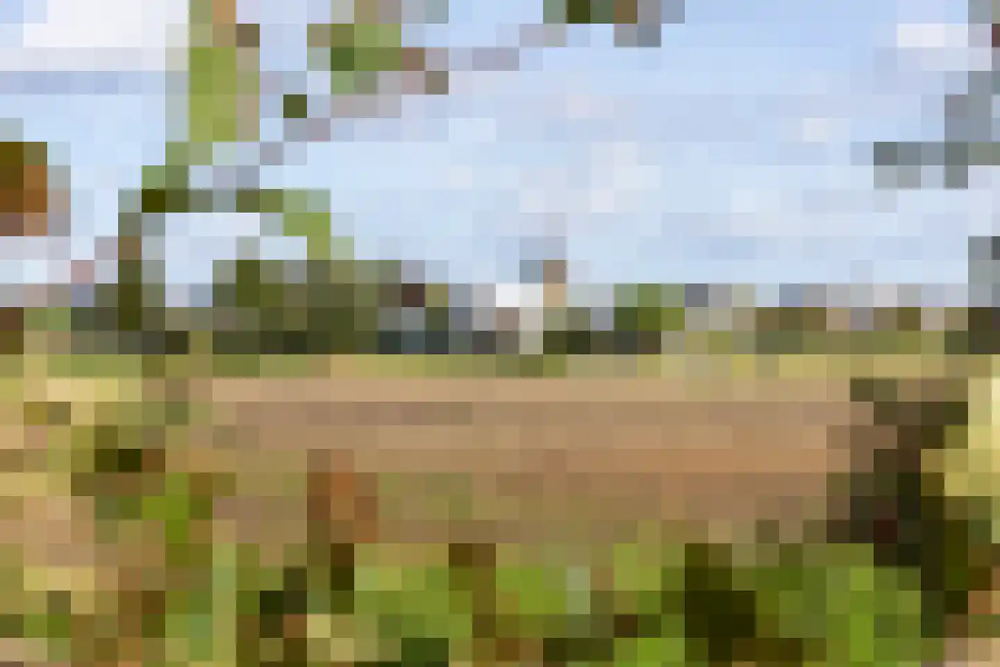Achterstraat 14 Lienden thumbnail 9