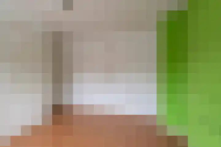 Achterstraat 15 Asch thumbnail 12