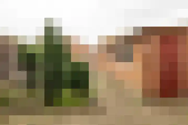 Achterstraat 15 Asch thumbnail 21