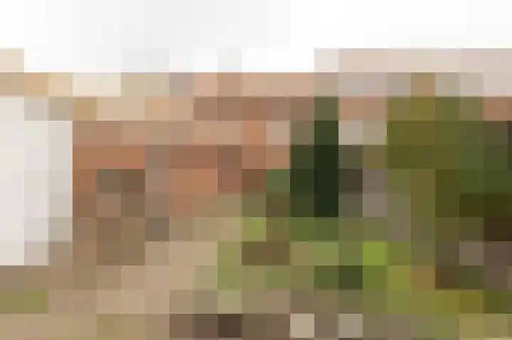 Achterstraat 15 Asch thumbnail 22