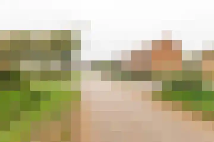 Achterstraat 15 Asch thumbnail 24
