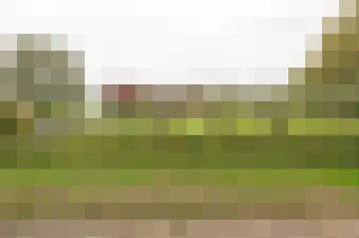 Achterstraat 15 Asch thumbnail 25