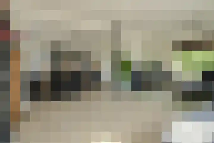 Achterstraat 15 Den Hout thumbnail 10