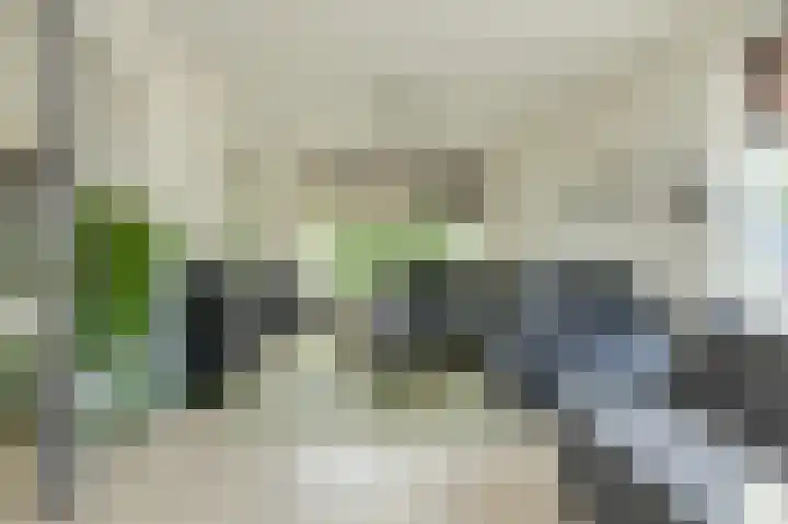 Achterstraat 15 Den Hout thumbnail 11