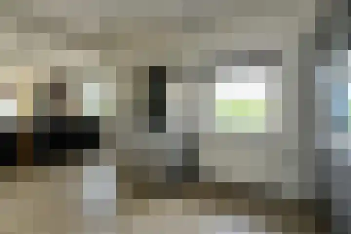 Achterstraat 15 Den Hout thumbnail 18