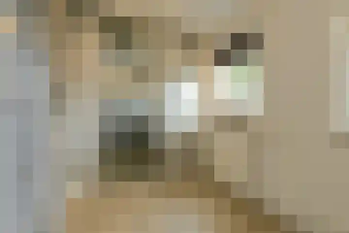 Achterstraat 15 Den Hout thumbnail 20