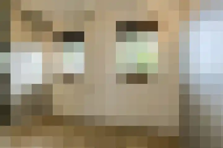 Achterstraat 15 Den Hout thumbnail 21