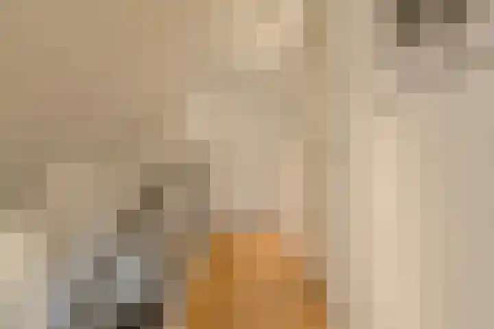 Achterstraat 15 Den Hout thumbnail 24