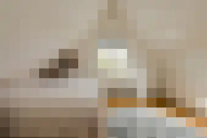 Achterstraat 15 Den Hout thumbnail 25
