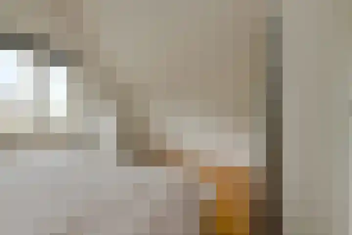 Achterstraat 15 Den Hout thumbnail 26