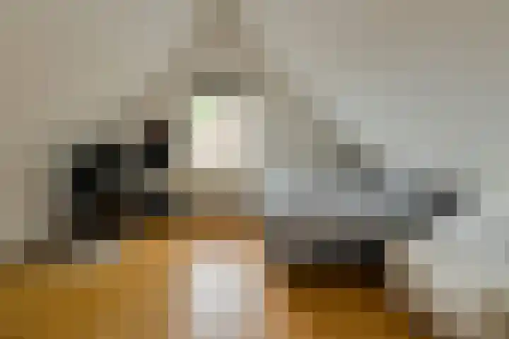 Achterstraat 15 Den Hout thumbnail 31