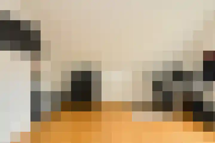 Achterstraat 15 Den Hout thumbnail 33