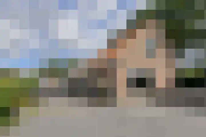 Achterstraat 15 Den Hout thumbnail 35
