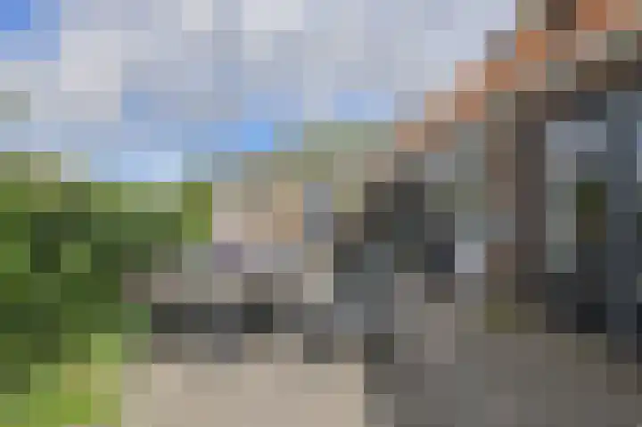 Achterstraat 15 Den Hout thumbnail 37