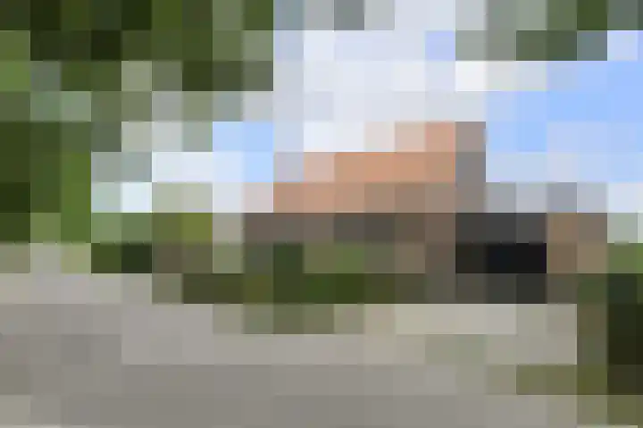 Achterstraat 15 Den Hout thumbnail 4