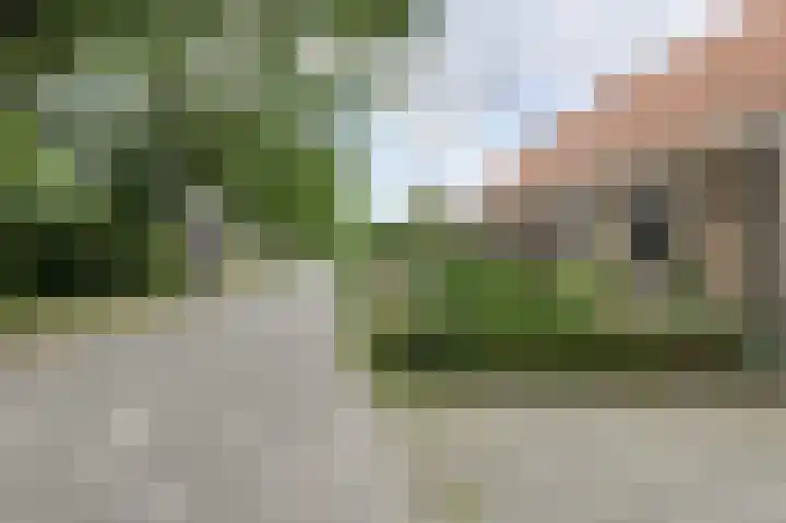 Achterstraat 15 Den Hout thumbnail 45