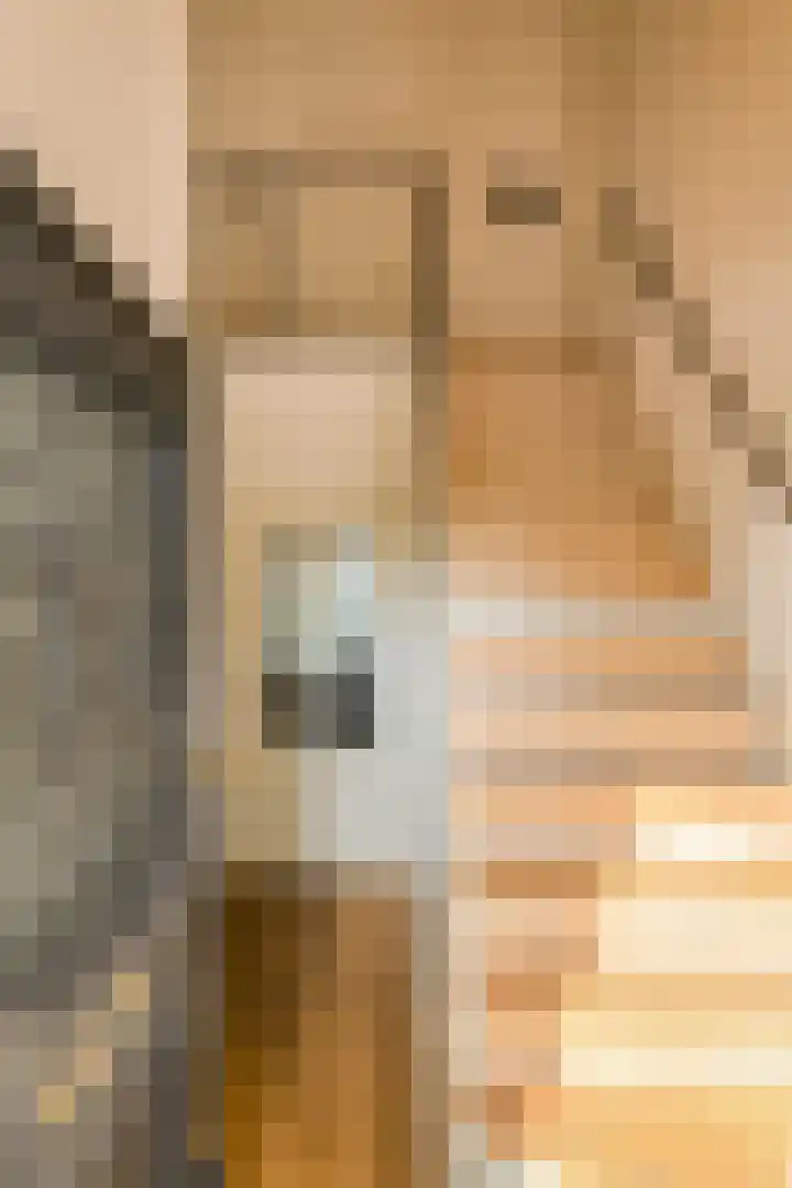 Achterstraat 15 Den Hout thumbnail 5