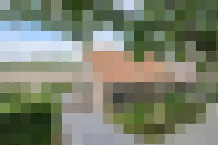 Achterstraat 15 Den Hout thumbnail 50