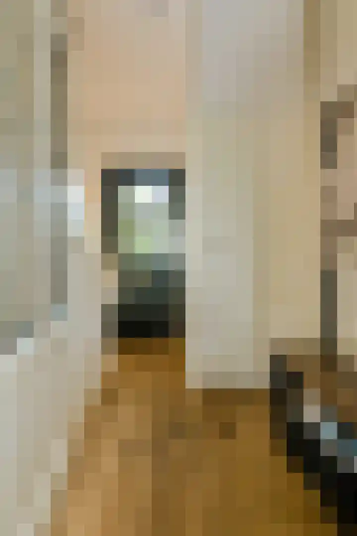 Achterstraat 15 Den Hout thumbnail 6