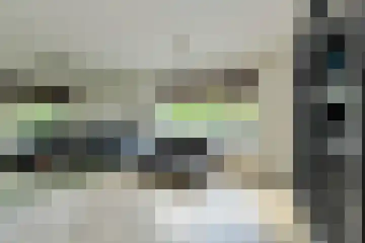 Achterstraat 15 Den Hout thumbnail 8