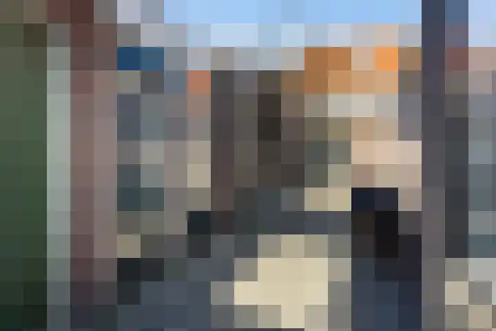 Achterstraat 15 Wijk bij Duurstede thumbnail 22