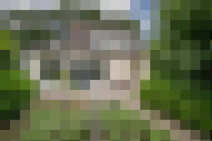 Achterstraat 16 Den Hout thumbnail 37