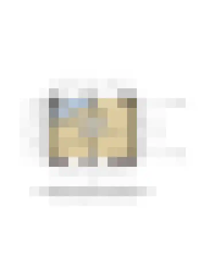 Achterstraat 16 Den Hout thumbnail 39
