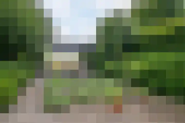 Achterstraat 16 Den Hout thumbnail 6