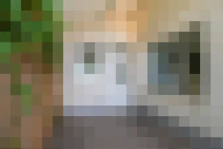 Achterstraat 16 Den Hout thumbnail 7