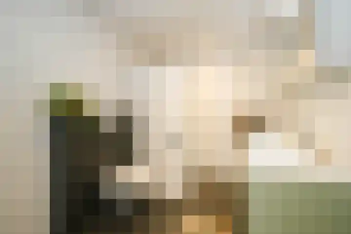 Achterstraat 16 Lekkerkerk thumbnail 10
