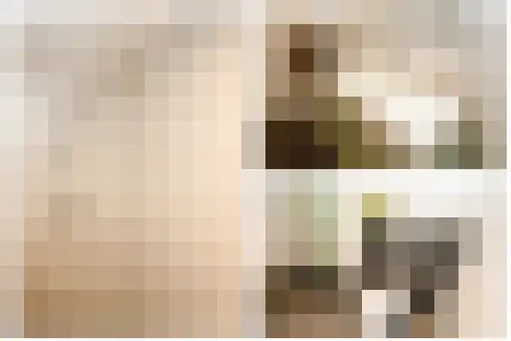 Achterstraat 16 Lekkerkerk thumbnail 11